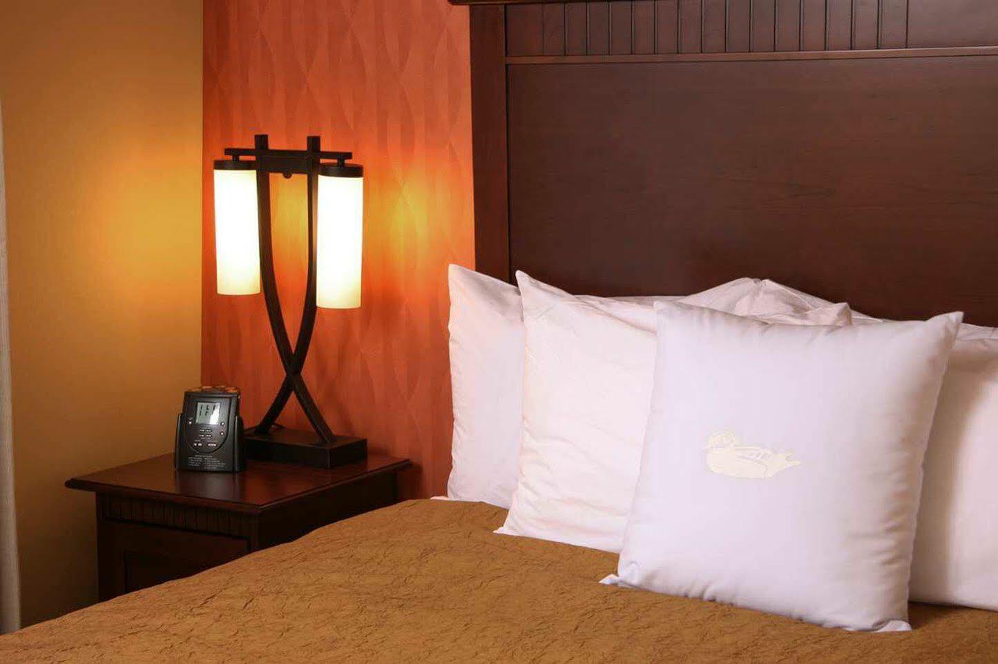 Homewood Suites By Hilton Denver International Airport Аурора Екстериор снимка